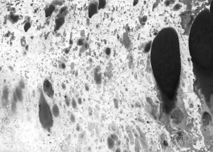 抽象墨水背景 大理石风格 白纸上的黑色油漆笔画纹理 用于网页和游戏设计的壁纸 泥艺术 笔汁的宏观图像 暗黑色漆照片 正版商用图片13wqr4 摄图新视界