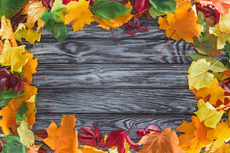 木灰表面秋枫叶架的俯视图