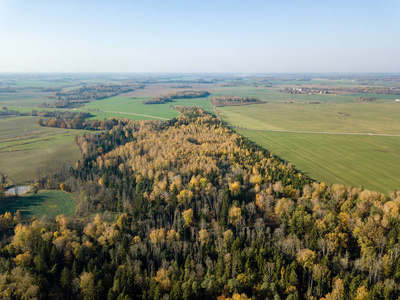 鸟瞰农村地区的田野和森林在秋天与黄色的秋天树在拉脱维亚。