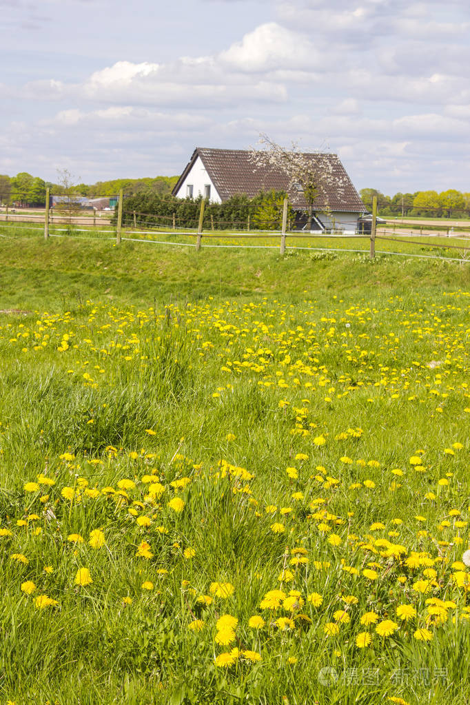 德国莱茵河下游一所农村房屋周围的春草地