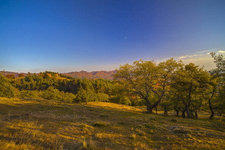 五彩缤纷的秋天景观。 喀尔巴阡山脉罗马尼亚欧洲。