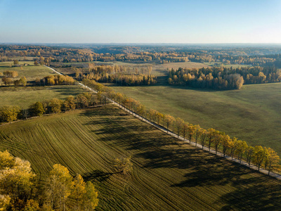 鸟瞰农村地区的田野和森林在秋天与黄色的秋天树在拉脱维亚。