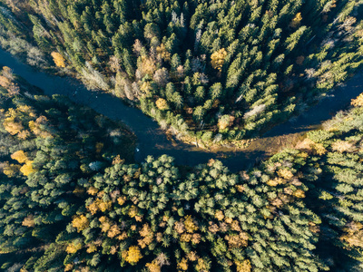 高贾河的鸟瞰秋季彩色森林拉脱维亚。