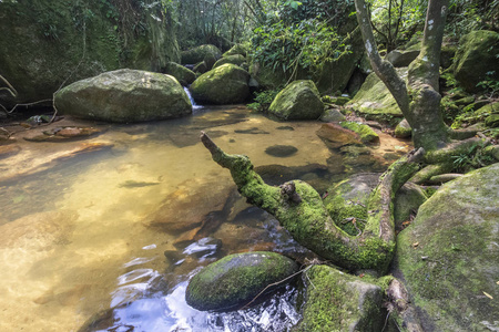 美丽的热带河池景观与绿色茂盛的森林在伊哈格兰德科斯塔韦德南里约热内卢巴西