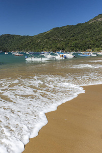 美丽的热带海滩景观，绿色的水船，郁郁葱葱的森林和蓝天，在里约热内卢南部，巴西