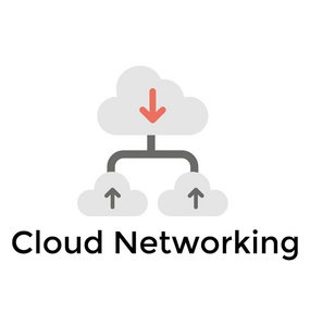 显示网络和云托管的云网络