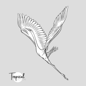 白鹭装饰图片-白鹭装饰素材-白鹭装饰插画-摄图新视界