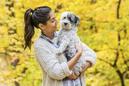 美丽的微笑的女人在秋天的黄色森林里拥抱她可爱的哈万尼犬。主人和狗在一起快乐