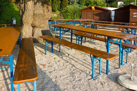 德国南部日落前的暑假傍晚，在大橡树下面的啤酒花园长凳和雨伞