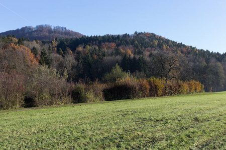 德国南部城市慕尼黑和斯图加特附近的一个阳光明媚的日子里，老农在秋天耙草