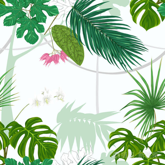 插画 热带植物和白兰花. 无缝图案背景. 矢量图.