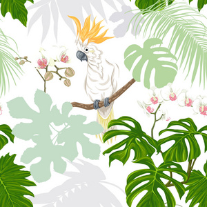 无缝图案背景。 有热带植物和花，有白色的兰花和热带鸟类。 彩色和剪影设计。 矢量图。 孤立在白色背景上。
