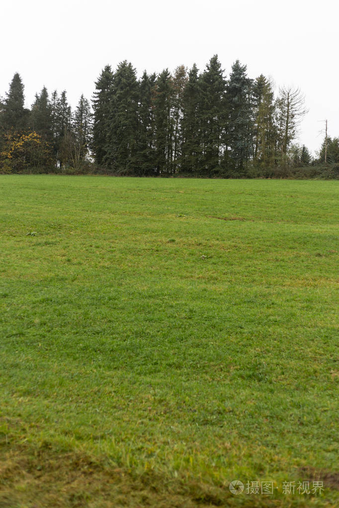 德国南部乡村多雾的秋景有绿色的草坪还有靠近慕尼黑和斯图加特市的