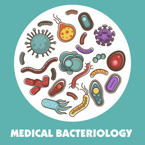 病毒，细菌和微生物海报的生物学研究或医疗保健概念。病毒细菌和微生物信息的矢量平面设计