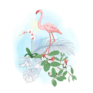 一种热带植物棕榈叶怪物和带有火烈鸟的白色兰花的植物组成。水彩背景上的彩色和轮廓设计。矢量图。