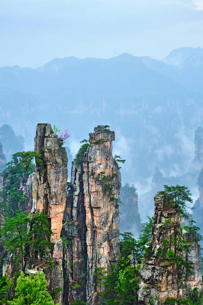 张家界山脉中国