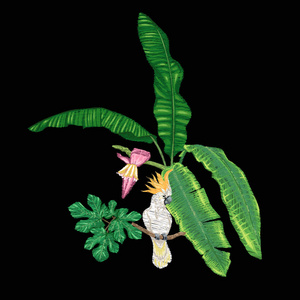 以热带植物和鸟类为图案的元素刺绣。彩色矢量插图。在黑色背景下隔离