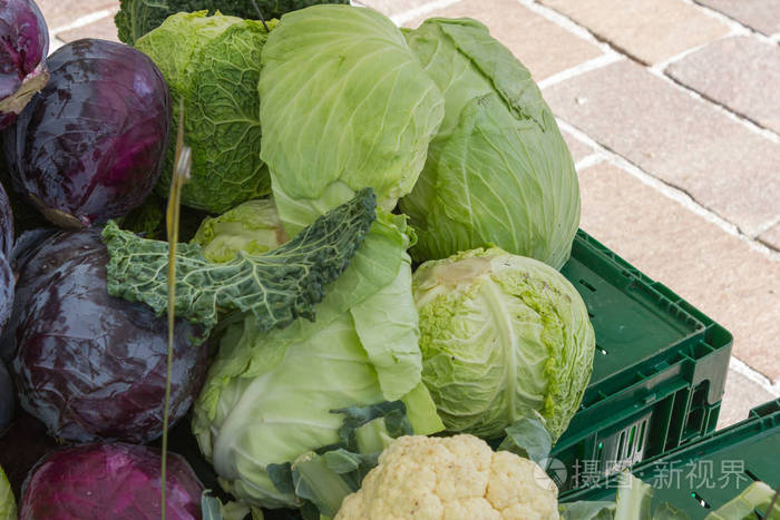 在德国南部,你会看到站在一个历史名城的街道市场上,有蔬菜,洋葱,沙拉