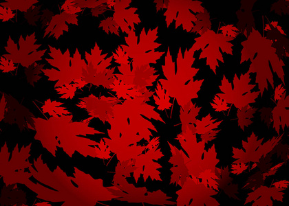 画秋天背景与美丽的叶子, 图案纹理。红色枫叶, 矢量黑色和深红色背景