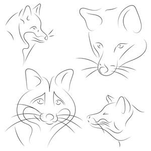 狐狸的铅笔插图图片