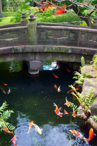 锦鲤池上日本花园石桥