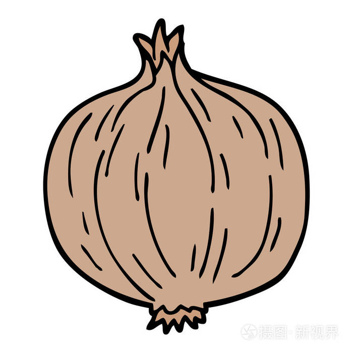 卡通涂鸦洋葱矢量插图插画-正版商用图片13xnfj-摄图新视界