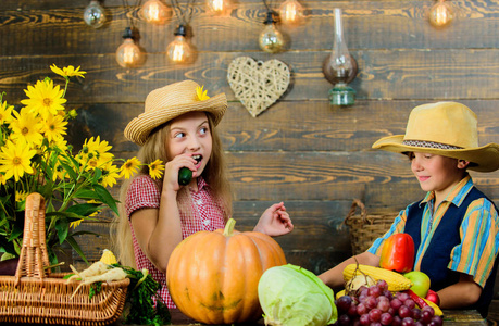 小学秋季节庆的想法。孩子们玩蔬菜南瓜。孩子女孩男孩穿牛仔农夫风格的帽子庆祝丰收节。秋季丰收节。庆祝秋季传统