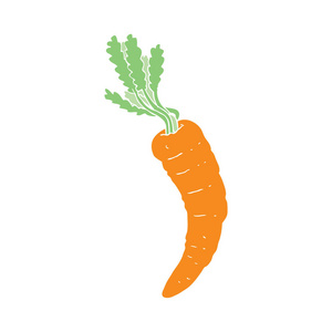 胡萝卜的平面彩色插图
