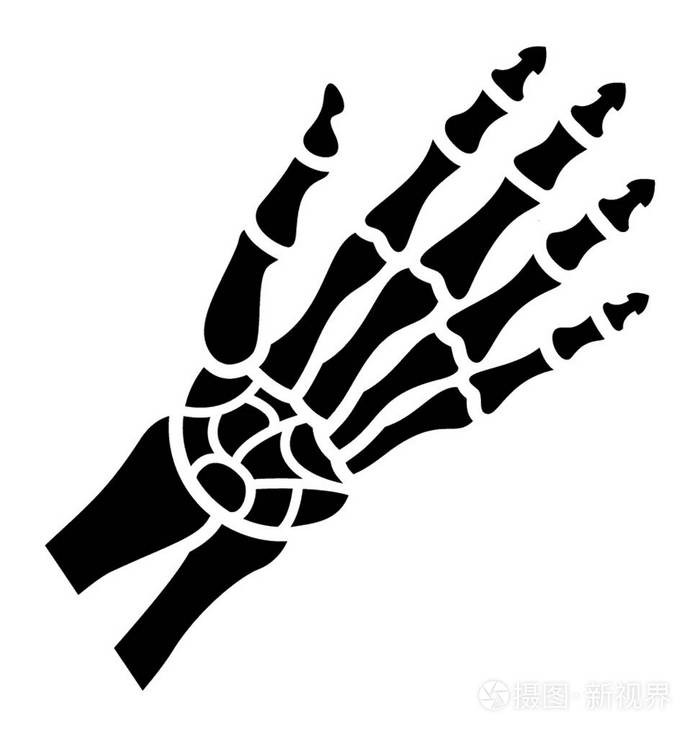 骨架手实体矢量图标插画-正版商用图片13xt87-摄图新视界
