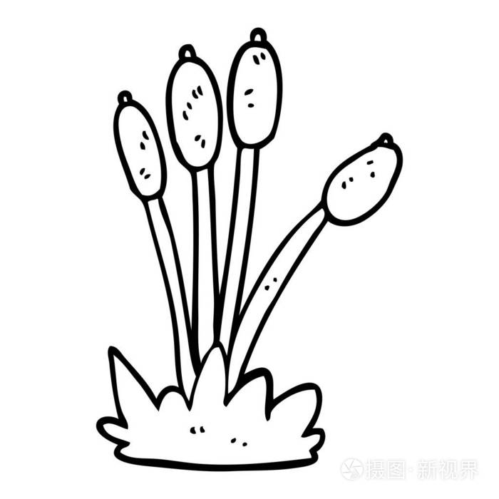 芦苇的线条画卡通床