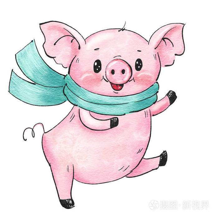 冬季插图与可爱的卡通猪围巾用水彩和墨水画