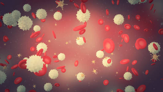 3D示意图红细胞白细胞和血小板