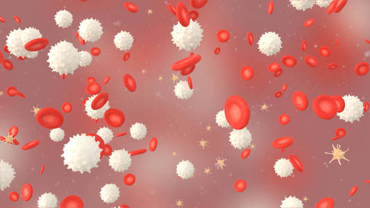 血液红细胞红细胞,白细胞和血小板血液三维图照片