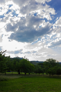 在德国南部多山的乡村，有蓝天和云彩的绿色田野