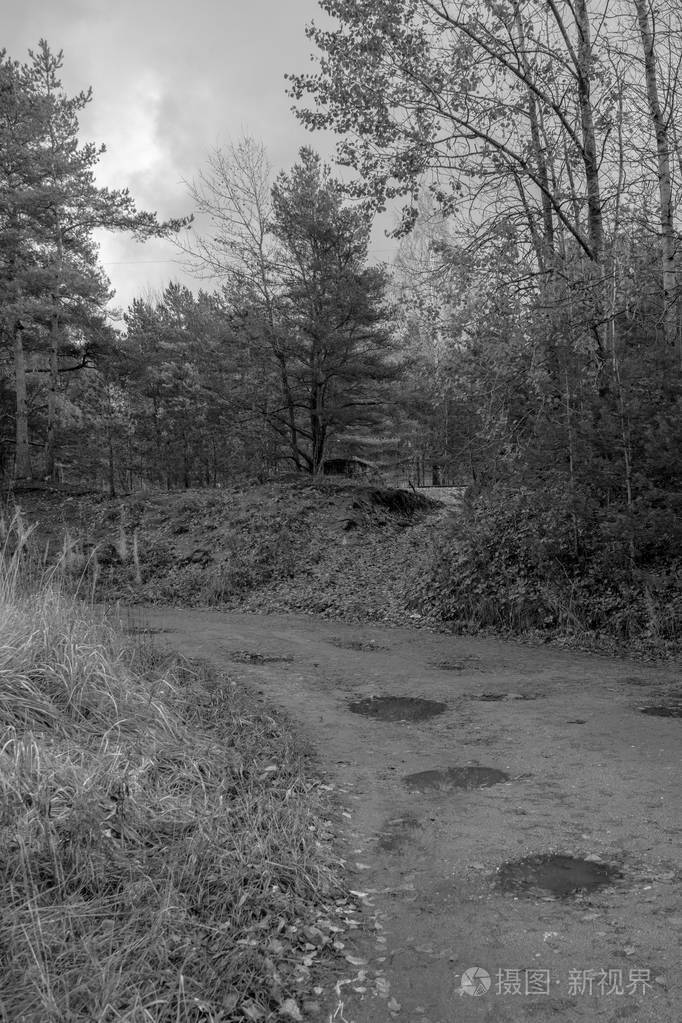 可怕的黑白森林道路