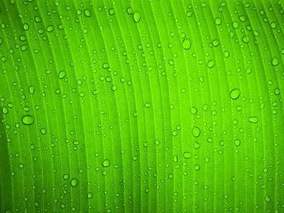 关闭黄色香蕉在木桌上绿色模糊光背景关闭了形象的香蕉吐在白碗单词爱