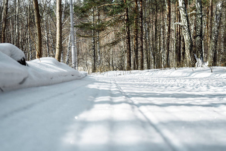 冬天的路在森林里阳光明媚的一天，纯白的雪在小径上。