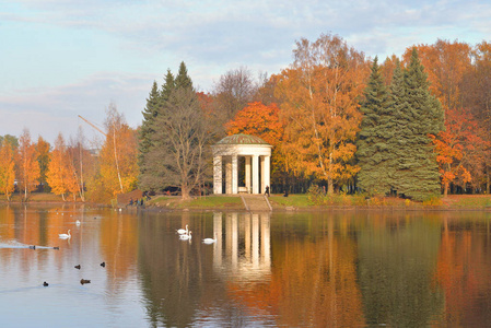 俄罗斯圣彼得堡Krestovsky岛Primors kiy胜利公园的秋季景观。
