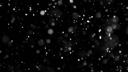 白雪落在孤立的黑色背景