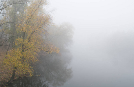 十月清晨雾蒙蒙的大自然美丽的秋天