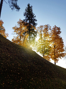 五彩缤纷的秋景..山上的金色树木