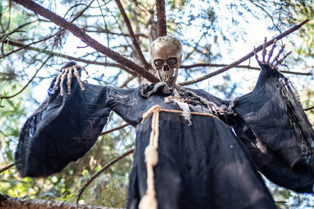 穿着长袍挂在树上的骷髅万圣节装饰