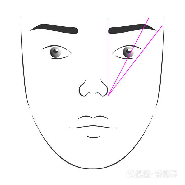 眉毛的正确形式的女人的脸