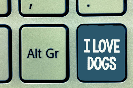 概念性手写显示我爱狗。商业照片展示对狗狗喜欢宠物动物有很好的感觉