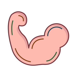 手臂与二头肌平面图标隔离白色背景矢量插图照片