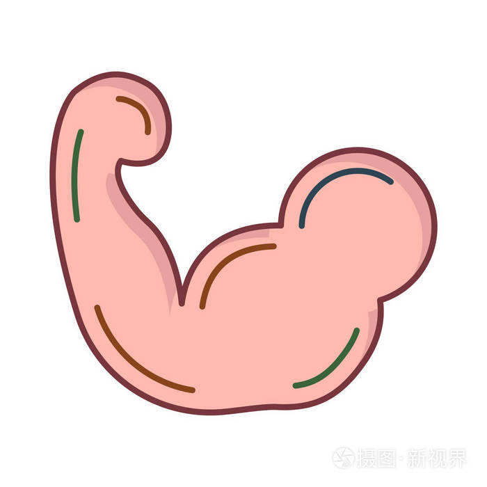 手臂与二头肌平面图标隔离白色背景矢量插图