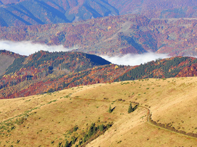 早上在喀尔巴阡山