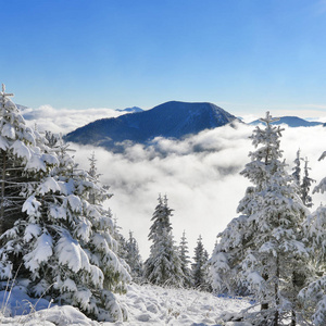 冬天在山坡上的山景。