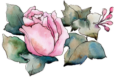 水彩五颜六色的花束花。花卉植物花卉。孤立插图元素