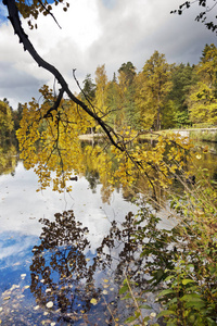 秋天的树有明亮的叶子，反映在湖里